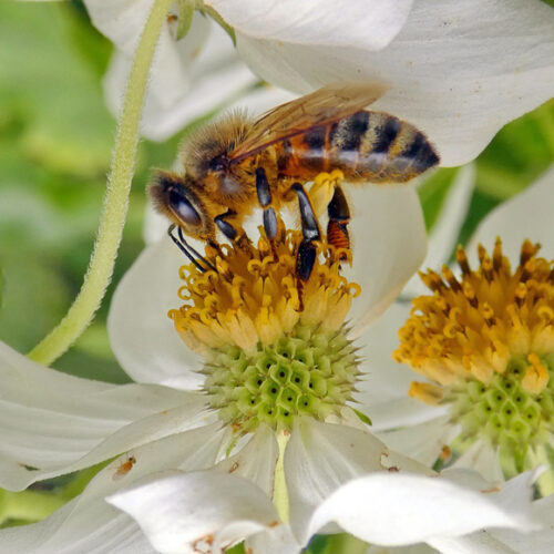 Send your best photos from Maui County to mauiphotos@mauinews.com for a chance to see them featured on our website and in our weekly print edition.